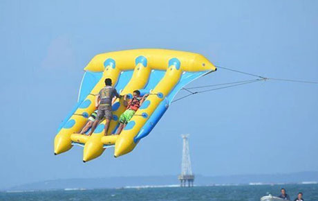 Inflatable Flying Fish Tube