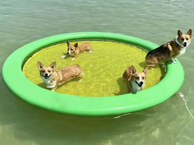 10ft Circular Hammock with Mesh Floating Platform Mat